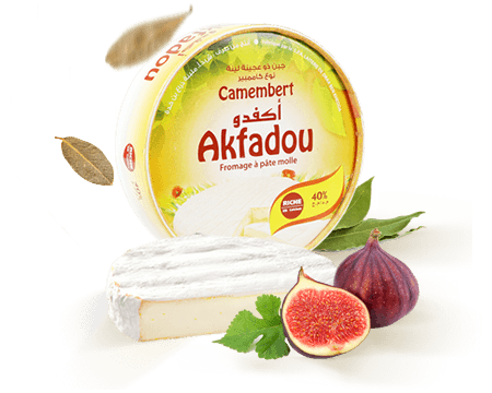 camembert akfadou 0